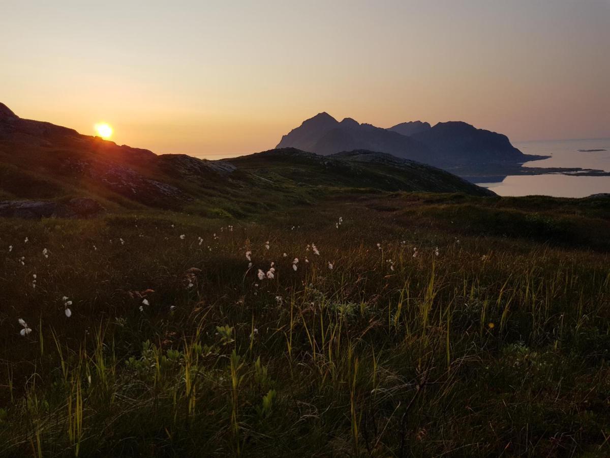 Villa Walter Lofoten With Sauna Kvalnes  Exteriér fotografie