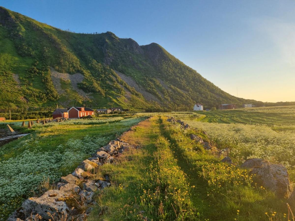 Villa Walter Lofoten With Sauna Kvalnes  Exteriér fotografie