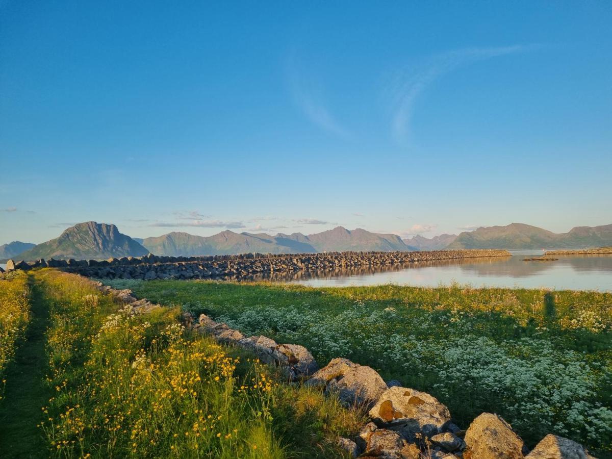 Villa Walter Lofoten With Sauna Kvalnes  Exteriér fotografie